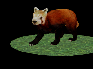 Red Pand panda 3D 模型