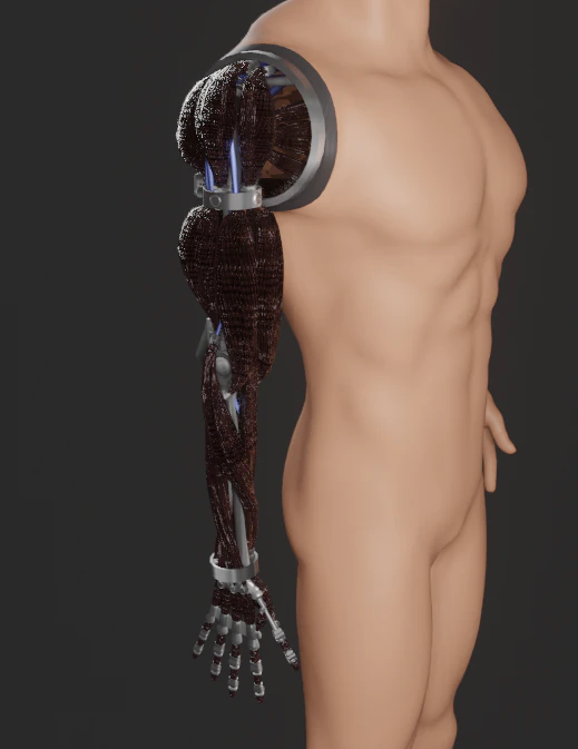 Prosthetic arm 3D Model .c4d .max .obj .3ds .fbx .stl .blend 