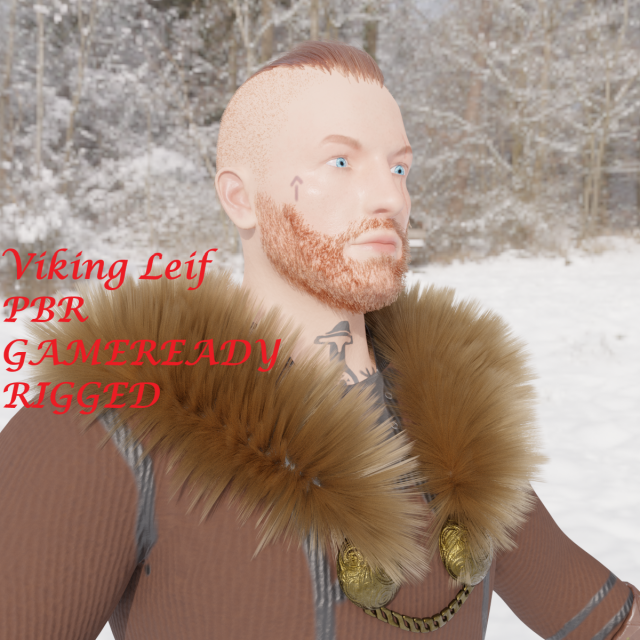 Viking Leif Modèle 3D .c4d .max .obj .3ds .fbx .stl .blend