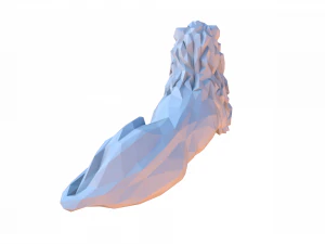 Low poly cartoon lion 3D Model