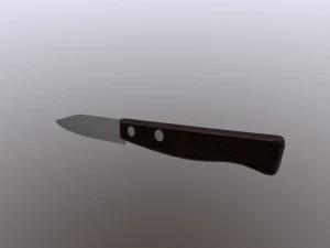 Small Kitchen Knife 3D Model
