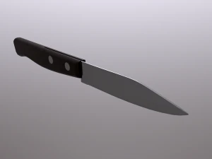 Small Kitchen Knife 3D Model