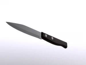Small Kitchen Knife 3D Model