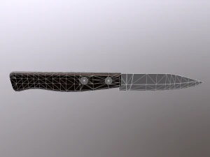 Small Kitchen Knife 3D Model