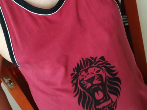 Lion head stencils 3D Model