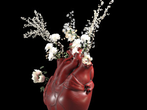 Heart Vase Red 3D Modell