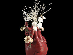 Heart Vase Red 3D Modell