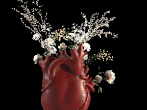 Heart Vase Red 3D Modell