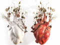 Wall Heart Vase 3D Модель