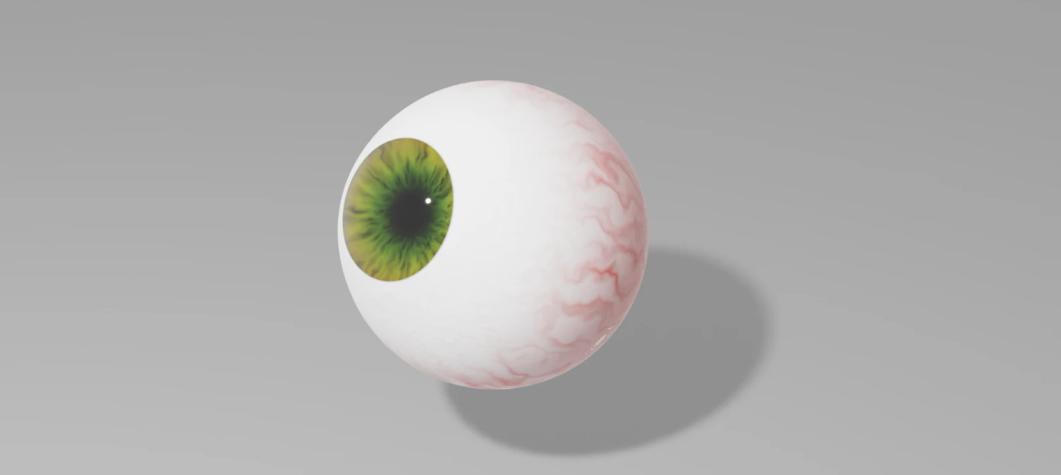 Human eye 3D Model .c4d .max .obj .3ds .fbx .stl .blend 