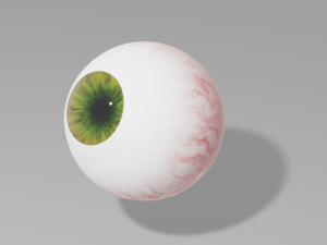 Human eye 3D Model