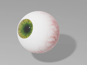 Menschliches Auge 3D Modell