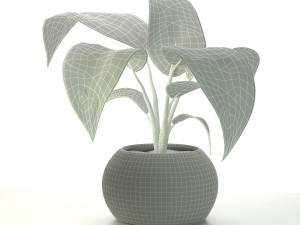 Plant-bouquet 3D मॉडल