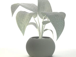 Plant-bouquet 3D Model