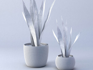 Snakeplants 3D Модель