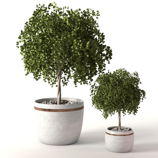 Green plants 3D Model .c4d .max .obj .3ds .fbx .stl .blend 