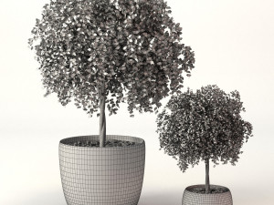 Green plants 3D Model