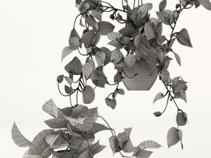 Pendant plant Modelo 3D