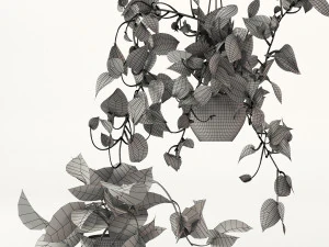 Pendant plant 3D Model