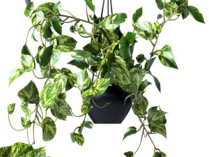 Pendant plant Modelo 3D