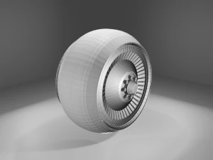 Disc with tire wheel 3D Model