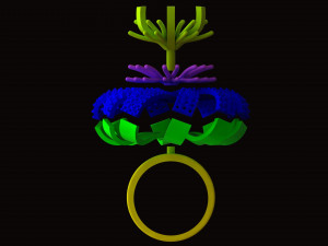 Ring Jewelry 3D Print Model