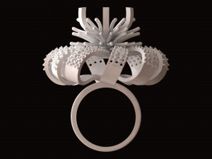 Ring Jewelry 3D Print Model