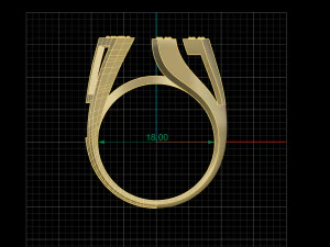 RING EARRING JEWELRY 3D Print Model