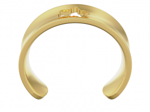 Ring with Ukraine 3D-Druckmodell