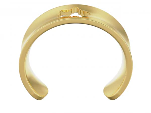 Ring with Ukraine 3D Print Model