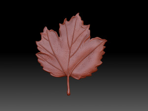 Leaves 3D Print Models
