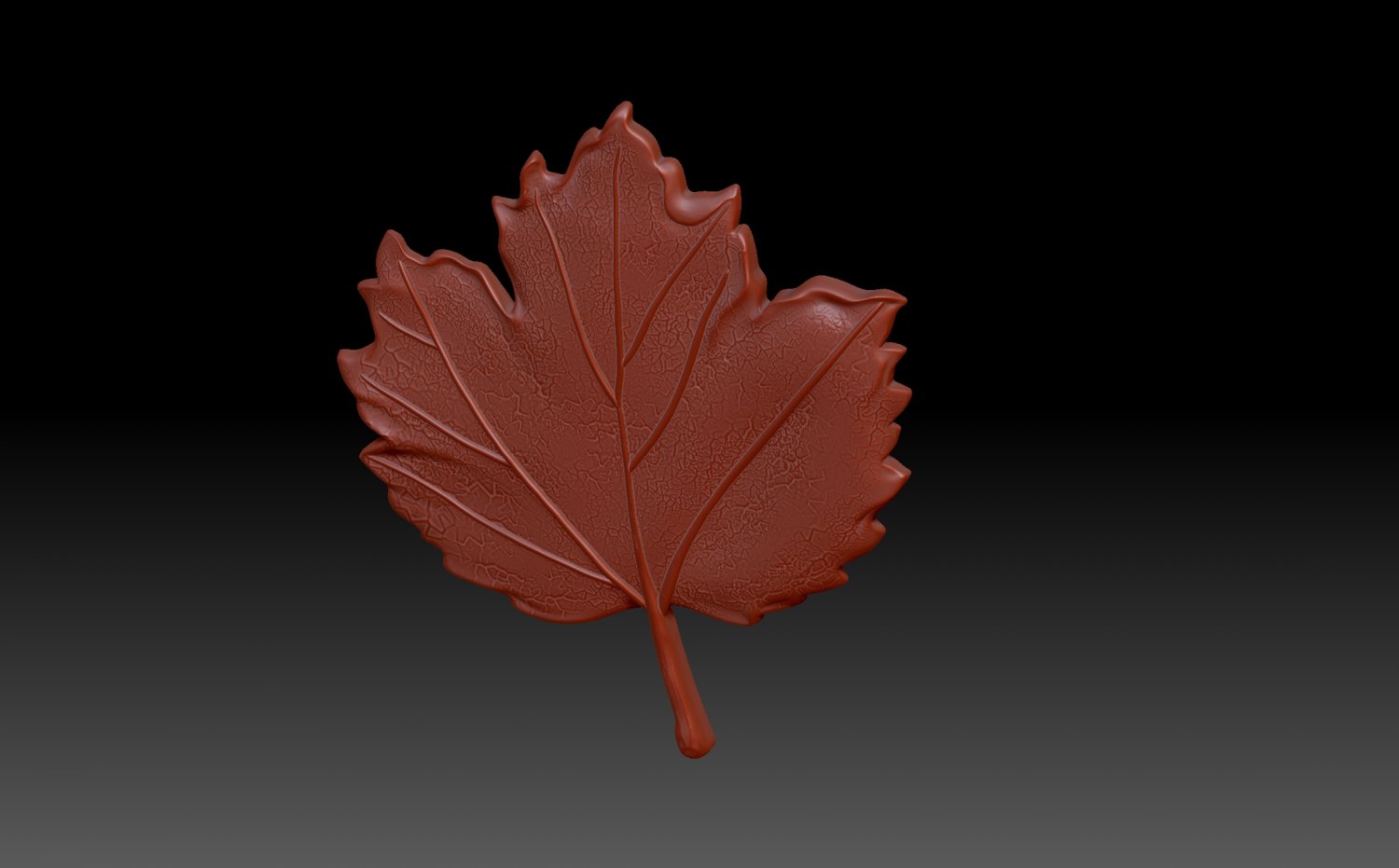 Leaves model