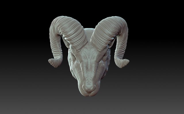 Rams head Model Cetak 3D .c4d .max .obj .3ds .fbx .stl .blend 