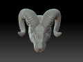 Rams head 3D प्रिंट मॉडल