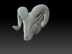 Rams head Model Cetak 3D