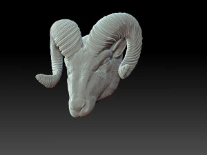 Rams head 3D Print Model