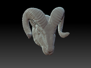 Rams head Model Cetak 3D