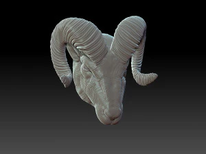 Rams head 3D Print Model