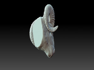 Rams head Model Cetak 3D