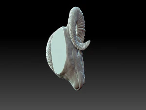 Rams head 3D Print Model