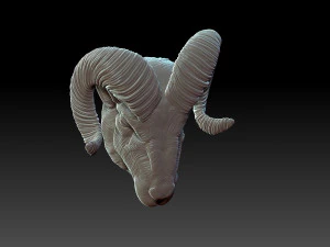 Rams head 3D Print Model