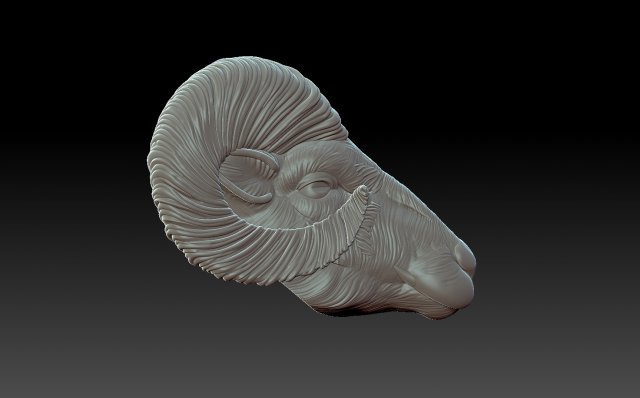 Sheep head 3D 프린트 모델 .c4d .max .obj .3ds .fbx .stl .blend 