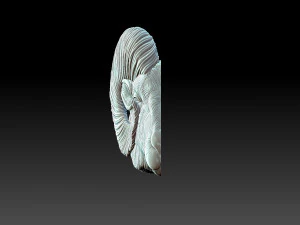 Testa di pecora Modello di stampa 3D