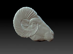 Testa di pecora Modello di stampa 3D