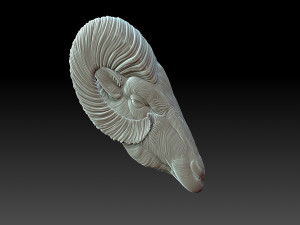 Sheep head 3D 프린트 모델