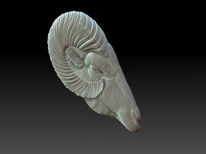 Testa di pecora Modello di stampa 3D