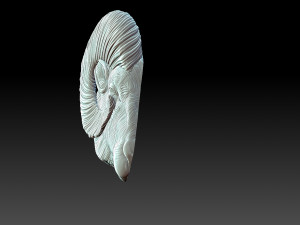 Sheep head 3D 프린트 모델