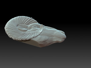 Sheep head 3D 프린트 모델