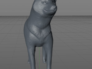 Shiba inu 3Dプリントモデル