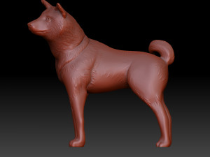 Shiba inu 3Dプリントモデル